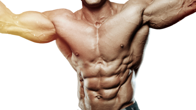 ارائه برنامه تمرینی