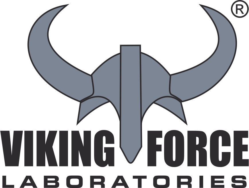 وایکینگ فورس viking force